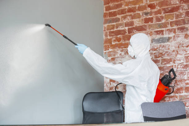 Best Forensic Mold Investigation  in USA